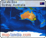 Curate Bee   satellite map