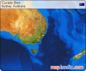 Curate Bee   satellite map