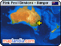 Pink Pest Services - Bangor satellite map