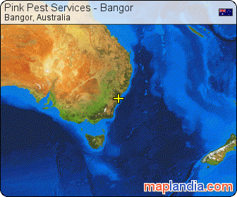 Pink Pest Services - Bangor satellite map