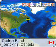Codroy Pond satellite map