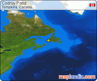 Codroy Pond satellite map