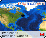 Twin Ponds satellite map