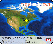 Mavis Road Animal Clinic satellite map