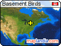 Basement Birds satellite map