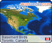 Basement Birds satellite map