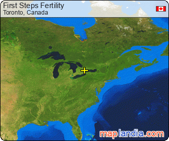 First Steps Fertility satellite map