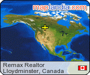 Remax Realtor satellite map
