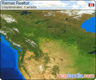 Remax Realtor satellite map
