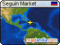 Seguin Market satellite map