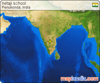 netaji school satellite map
