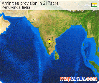 Aminities provision in 217acre satellite map