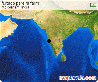 furtado pereira farm satellite map