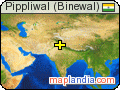 Pippliwal (Binewal) satellite map