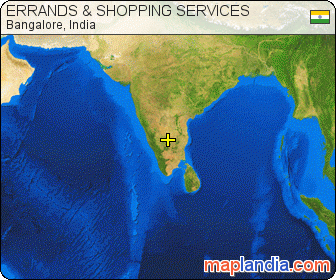 ERRANDS & SHOPPING SERVICES satellite map