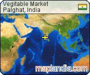Vegitable Market satellite map