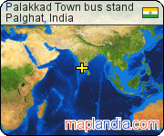 Palakkad Town bus stand satellite map