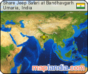 Share Jeep Safari at Bandhavgarh satellite map