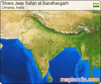 Share Jeep Safari at Bandhavgarh satellite map
