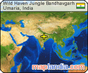Wild Haven Jungle Bandhavgarh satellite map