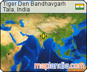 Tiger Den Bandhavgarh satellite map