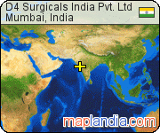 D4 Surgicals India Pvt. Ltd satellite map