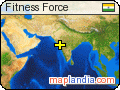Fitness Force satellite map