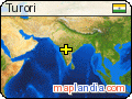 Turori satellite map