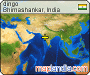 dingo's map homepage