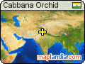 Cabbana Orchid satellite map