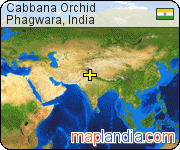 Cabbana Orchid satellite map