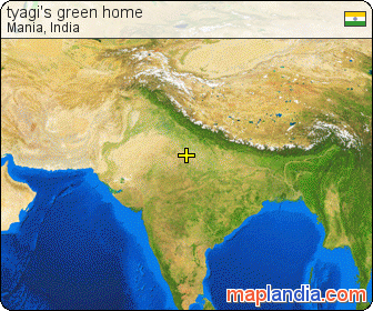 tyagi's green home satellite map