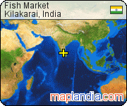 Fish Market satellite map