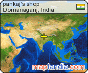 pankaj's shop satellite map