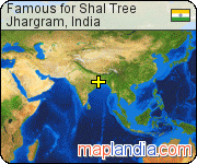 Famous for Shal Tree satellite map