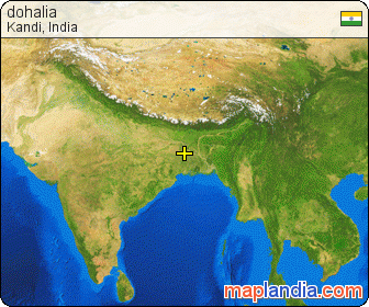 dohalia satellite map