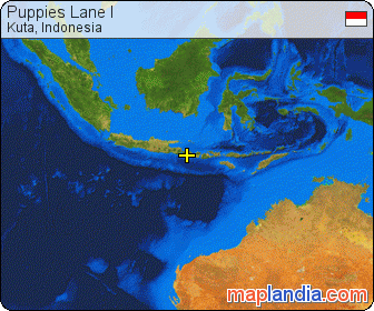 Puppies Lane I satellite map