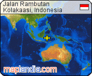 Jalan Rambutan satellite map
