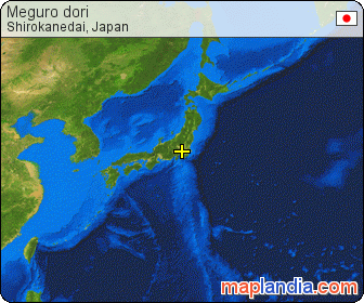 Meguro dori satellite map