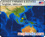 LEONGS' FARMING & ESTATES satellite map