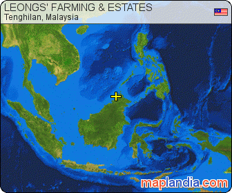 LEONGS' FARMING & ESTATES satellite map