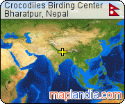Crocodiles Birding Center satellite map