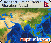 Elephants Birding Center satellite map