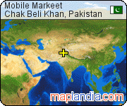Mobile Markeet satellite map