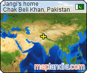 Jangi's home satellite map
