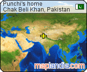 Punchi's home satellite map