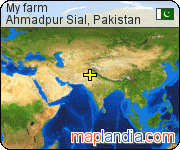 My farm satellite map