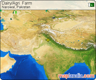 Dairy/Agri  Farm  satellite map