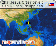 2ha. Jesus Ortiz ricefield satellite map