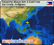 Alejandrino Mango farm & Goat Prodn satellite map